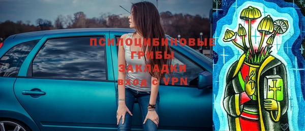 прущая мука Каменка