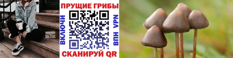 Псилоцибиновые грибы мицелий  Купить закладки  Бодайбо 